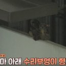 이소농장 이미지