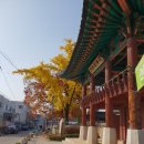 2021-00028 | 충주 관아공원 가을풍경