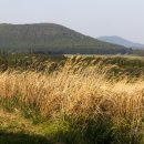 성불주차장 | [성불오름] 스님이 불공드리는 모습을 닮았다는 오름