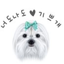 금오동물병원 이미지