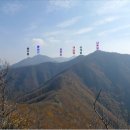 지용산인 이미지