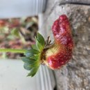변주 이미지