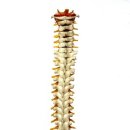 부원한의원 이미지