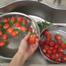 태영상회 이미지