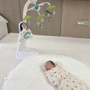 유니콘 | 타이니러브 모빌 클래식 유니콘 사용 후기! 아기가 좋아하는 감성 모빌