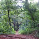 올레길 산림형 3코스 이미지