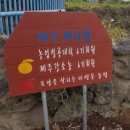 제주써니 이미지