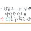 프래쉬애