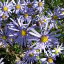 목골농장 이미지