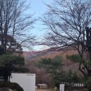 보배목장 | 강원도 평창 감성적인 전나무숲 개별화장실 캠핑장, 휘게포레스트