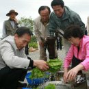 대선농장 이미지