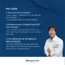 브롬튼컨설팅