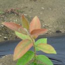 정선군농업기술센터 이미지