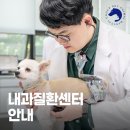 부천24시SKY동물메디컬센터 | 인천SKY동물메디컬센터(스카이동물병원) 내과질환센터 안내