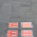 25년 부산 센텀 맥주축제 꿀팁 부산 가볼만한 곳 추천