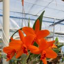 영민하우스 이미지