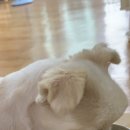 헬시맘마 이미지