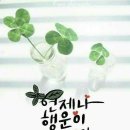 가현산낚시터 이미지