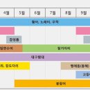 큰바다낚시