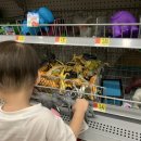 서라벌쇼핑센타 이미지