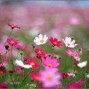 잠실역 9번출구 공원 이미지