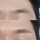 디자인제제 이미지