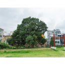 왕산로19길 이미지