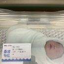 자동음성통보시스템 | 39주 1일 일산차병원 제왕절개 후기 1탄