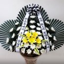 조선대학여자고등학교 이미지
