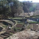 월영동255 이미지