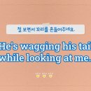 24시간 생활밀착 영어 VLOG 이미지