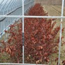 김주일농장 이미지