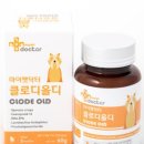 올 마이 펫 이미지