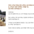 장의석재