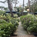 코림 | 250904 월간일기