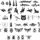 animals and insects vectors 이미지