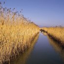 하단1동-12 이미지