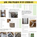 진토베기 Daum카페