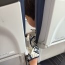 옆집아재몰 | 오키나와] 숙소와 항공권 정하기