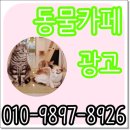 엘리트광고 이미지