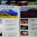 미로항공여행사 이미지