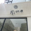 리꼬비교동점 이미지