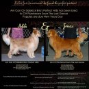 빅골든하우스 이미지