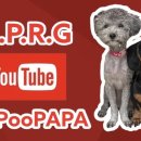 멍멍이까까 이미지