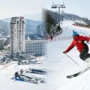 "돌아온 스키의 계절"...겨울 여행 매니아가 추천하는 스키장 리조트 BEST 5 이미지