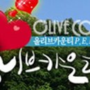 가평반딧불마을 이미지