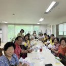 은빛프로젝트