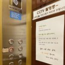 제이드 스킨 & 바디 이미지