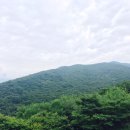 육순이
