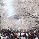 진해구 ⓒ-31 이미지